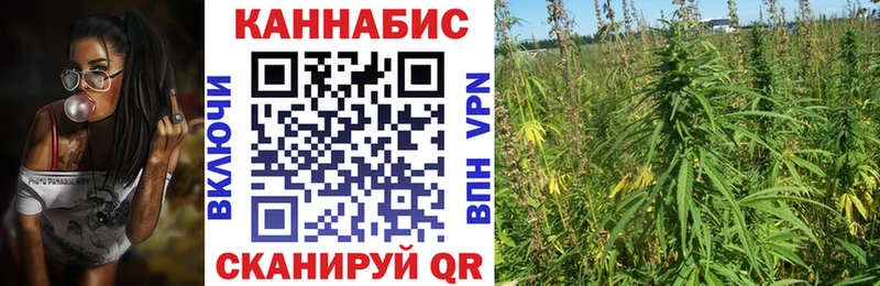 как найти наркотики  Макаров  МАРИХУАНА конопля 